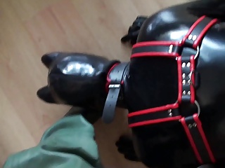 Rubber Puppy Play In Rubber Waders